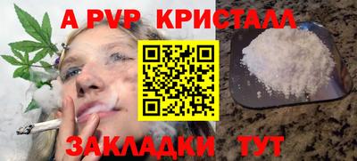 стаф Тверь