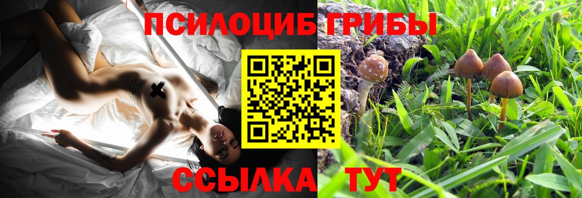 Псилоцибиновые грибы MAGIC MUSHROOMS  Галлюциногенные грибы Psilocybine cubensis  Вход с VPN  Орехово-Зуево 