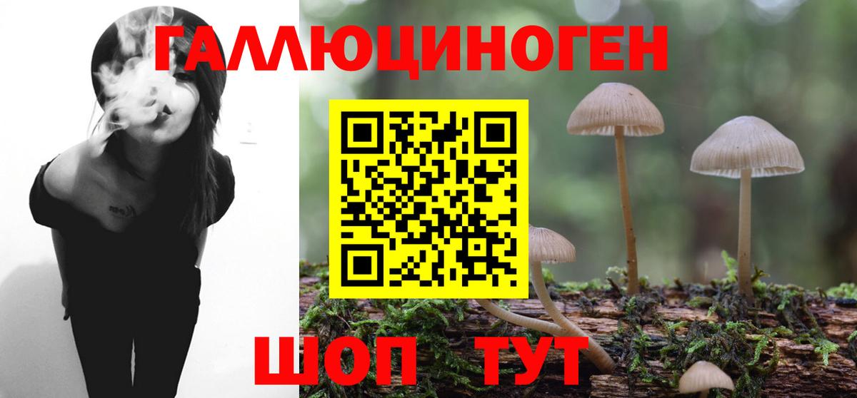 Галлюциногенные грибы Psilocybine cubensis Орехово-Зуево